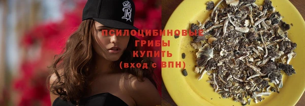 стаф Балахна