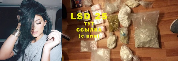 стаф Балахна