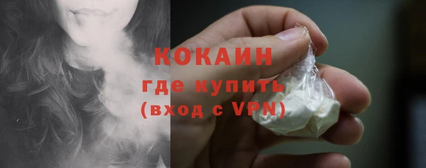 стаф Балахна