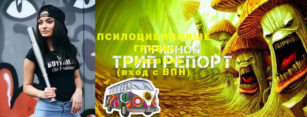 стаф Балахна
