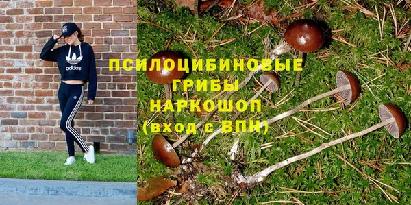 стаф Балахна