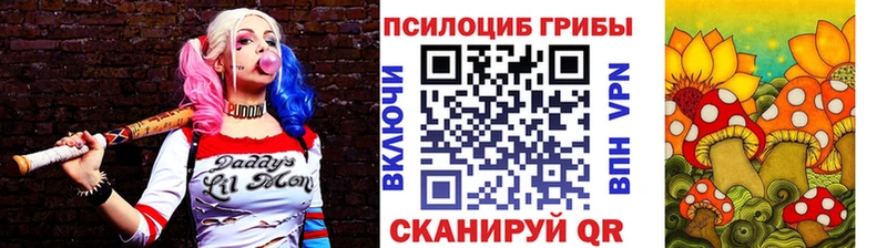 OMG ONION Собинка Псилоцибиновые грибы Psilocybine cubensis закладка