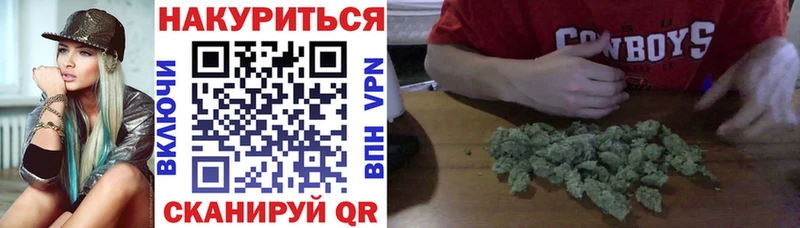 Конопля OG Kush  Собинка 